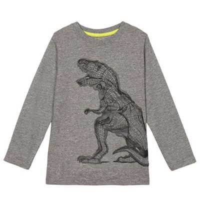 Boys' grey T-rex print t-shirt
